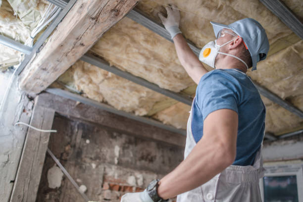 Best Insulation Maintenance and Repair in Dumfries, VA